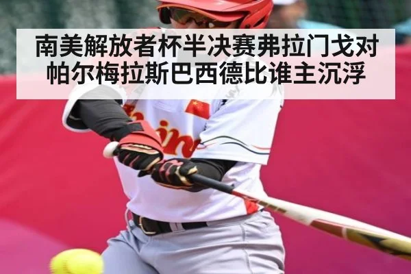南美解放者杯半决赛弗拉门戈对帕尔梅拉斯巴西德比谁主沉浮
